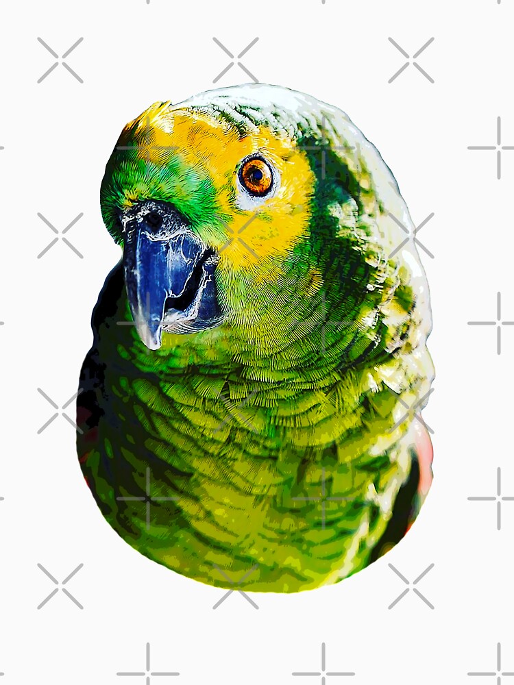 Amazon Parrot - Blue Fronted Amazon Bird Head by Elarex