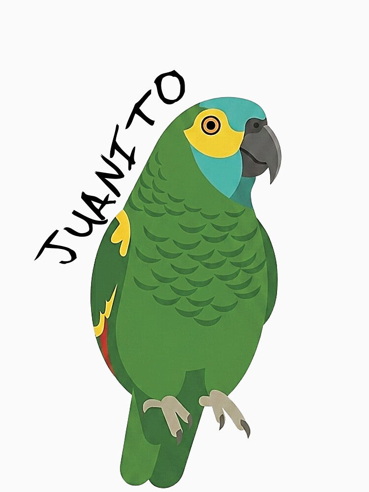 Parrot Juanito by juanitolorito