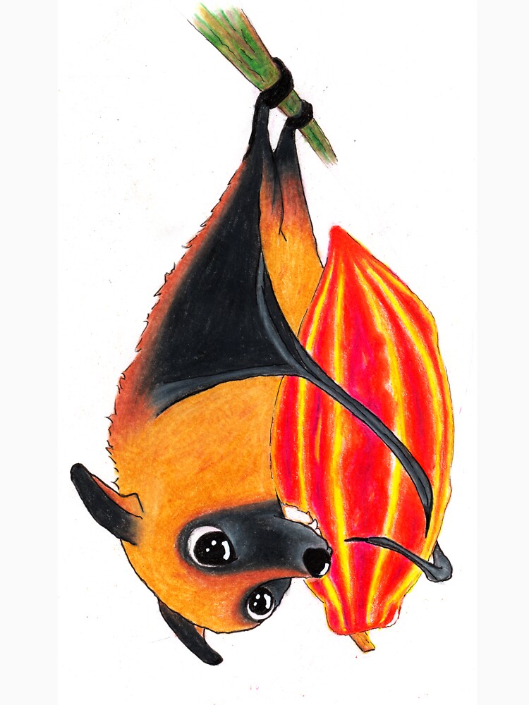 Bat eating a cacao pod by eluna.val