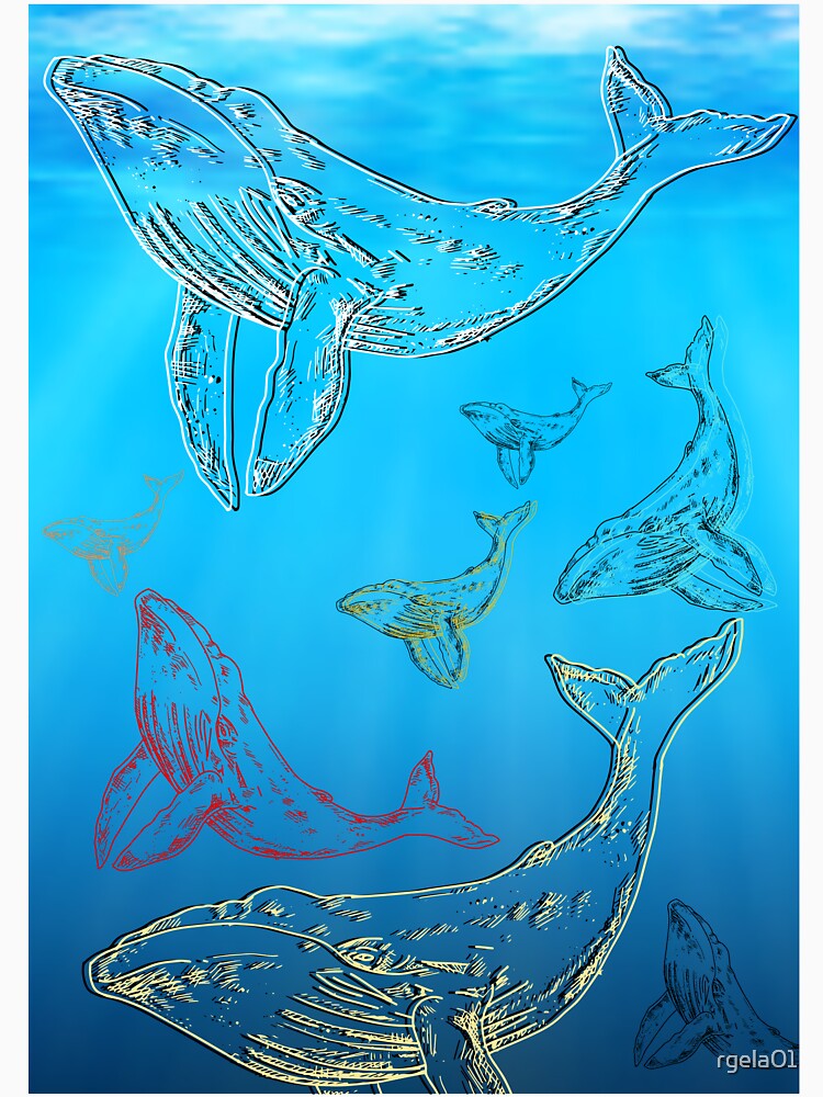 Whale pod by rgela01