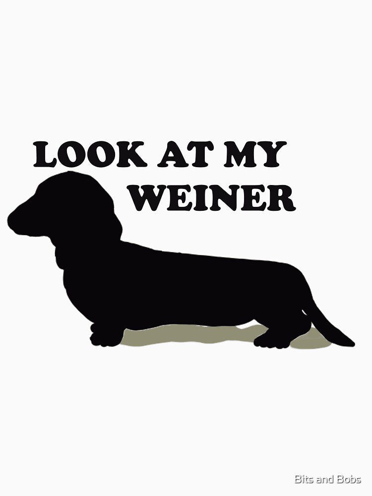 Dachshund Admiration by Bits and Bobs