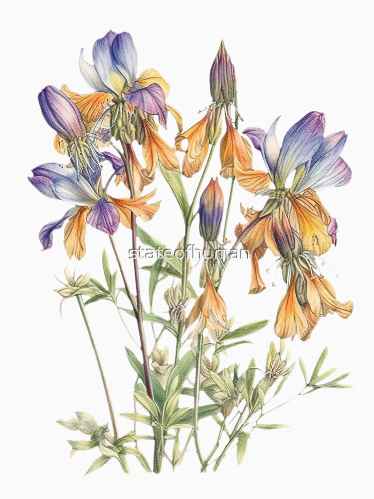 Detailed Columbine Flower Illustration, Perfect for Custom Print on Demand Products, Wall Art, Apparel, and More by stateofhuman