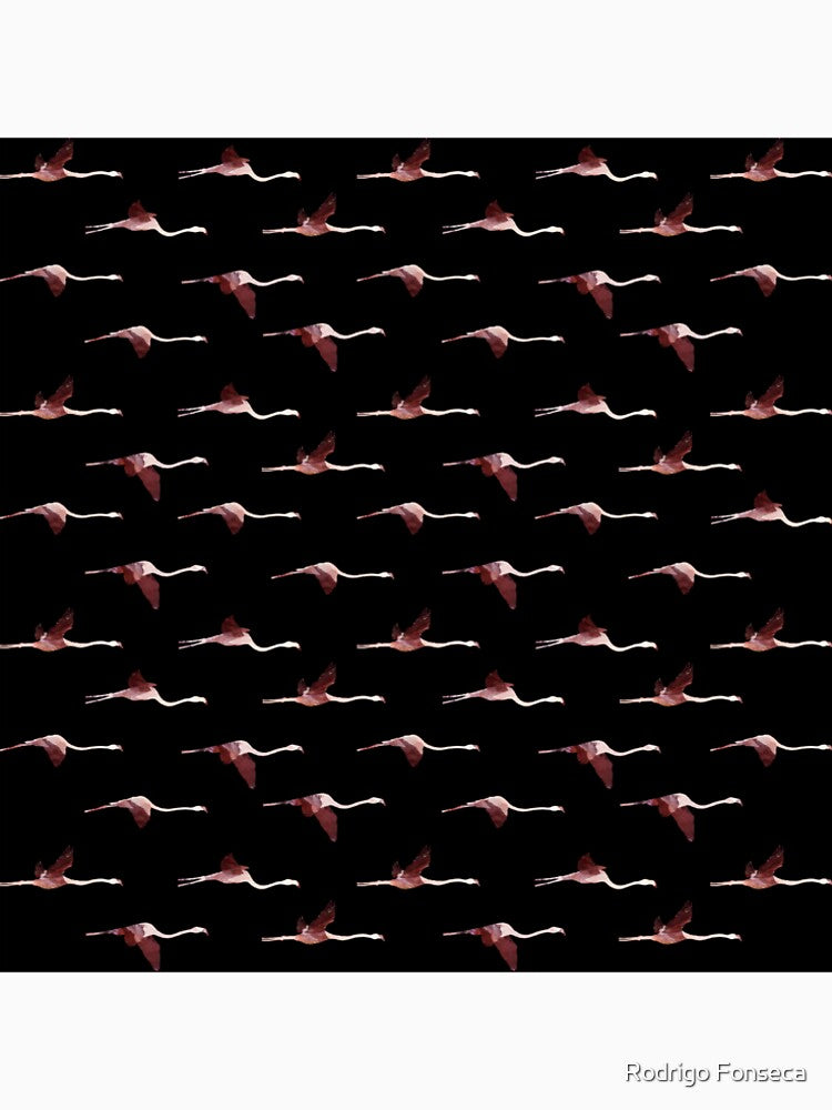 Flying Flamingos by Rodrigo Fonseca