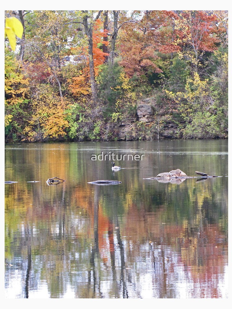 Swimming Duck Among Fall Foliage Reflections Photograph by adriturner