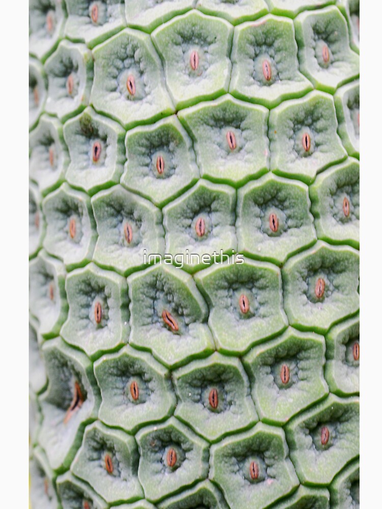 Monstera Tiles by imaginethis