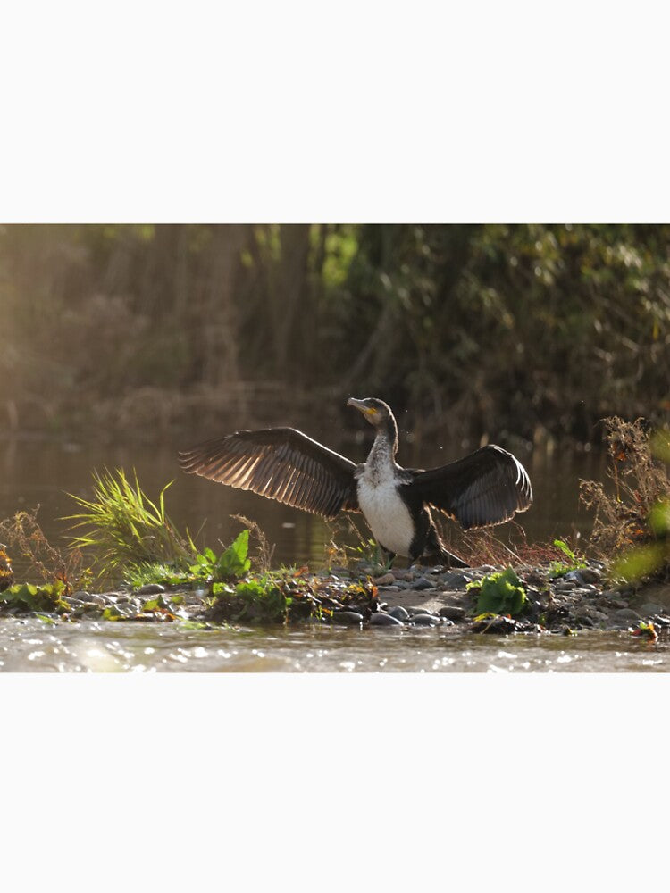 Spreading my Wings by ClarkeGreening