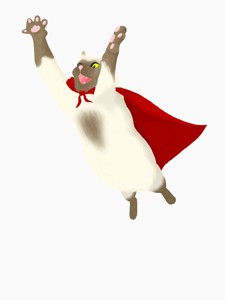 Super Cat to the Rescue! by NunnyBB