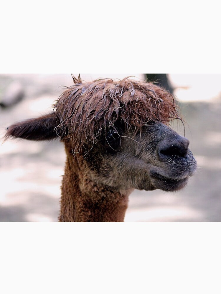 REAL BAD HAIR DAY by BOLLA67