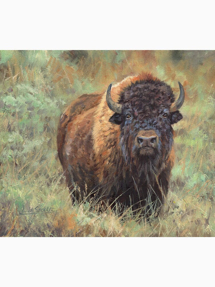 North American Bison by David Stribbling