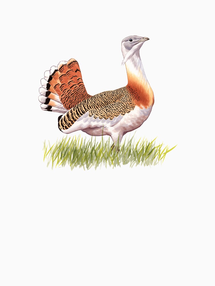 Great Bustard by kokayart