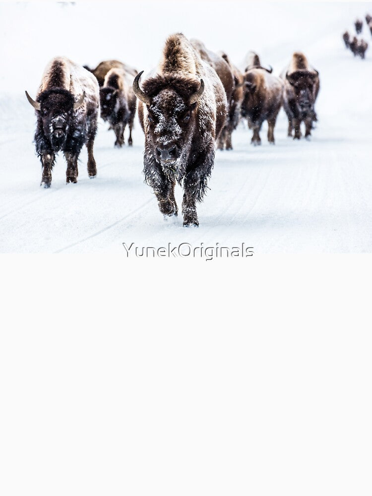 Bison Bulls Treading in the Snow by YunekOriginals