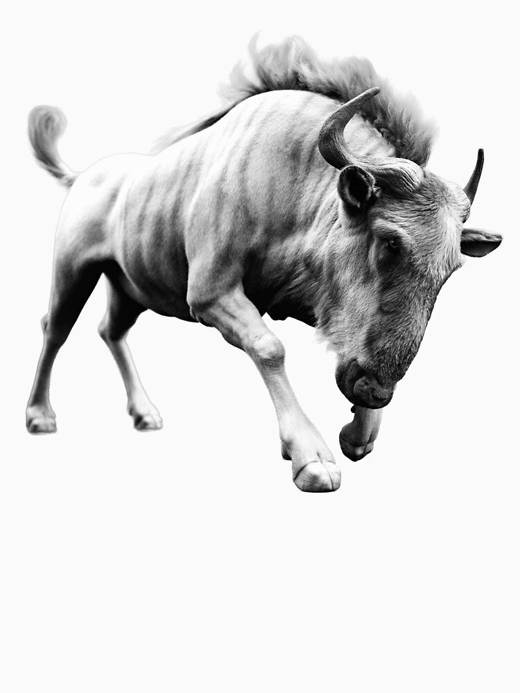 Charging Wildebeest – Black & White Wildlife Portrait by Massimo Righi