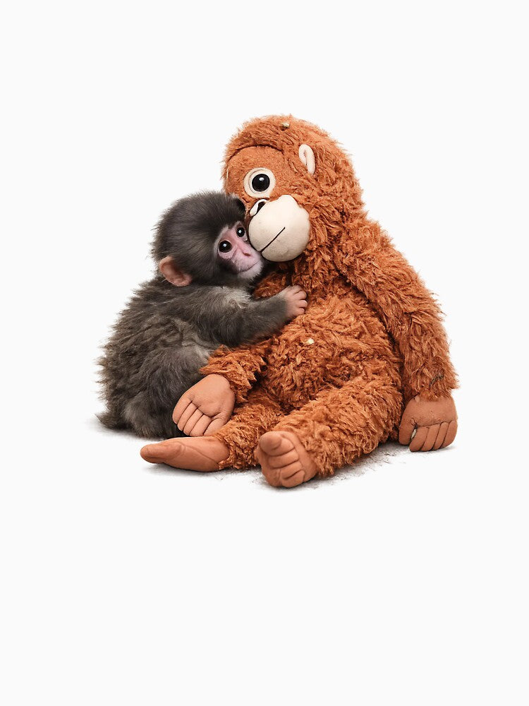 Punch Baby Monkey Hugging Orangutan Plushie Viral Cute Monkey by t-patterns