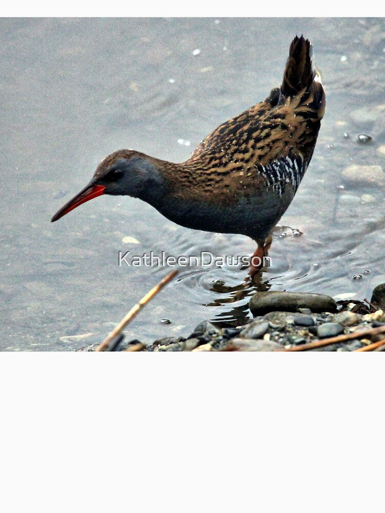 waterrail by KathleenDawson
