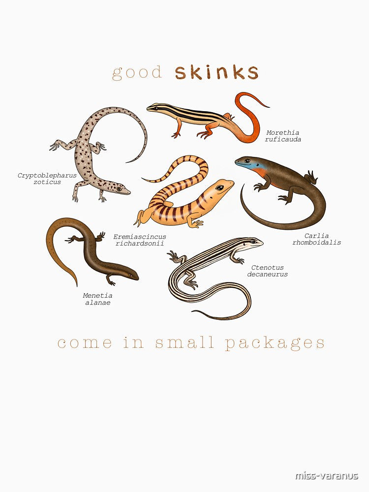 Good Skinks Come In Small Packages by miss-varanus