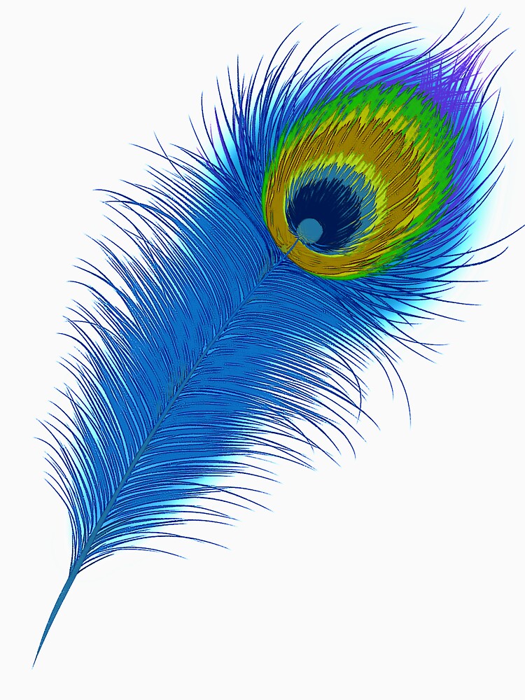 peacock feather mor pankh by Jollygoodshop