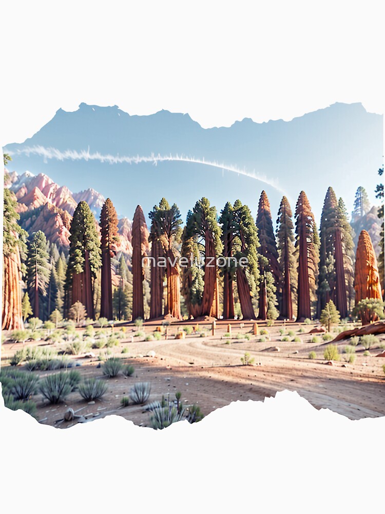 CALIFORNIA 24 5 by maveluzone