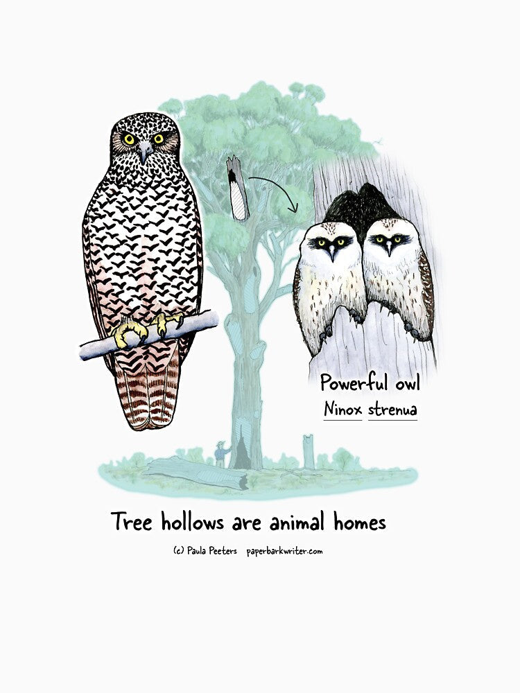 Powerful Owl - Tree hollows are animal homes by Paula Peeters