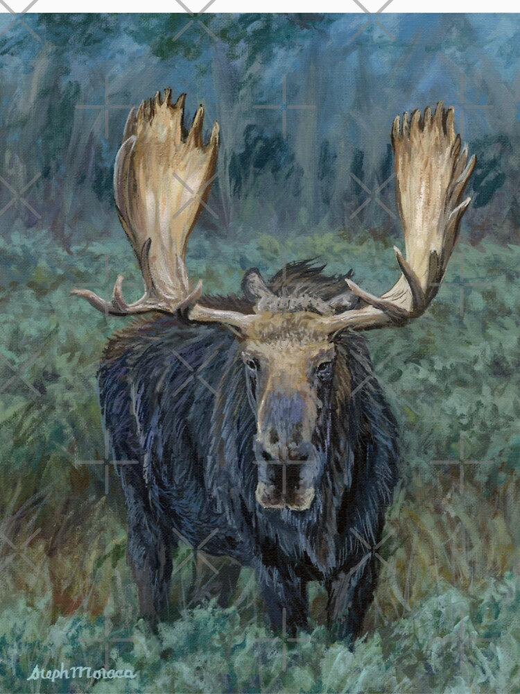 Moose in the Morning by Steph Moraca