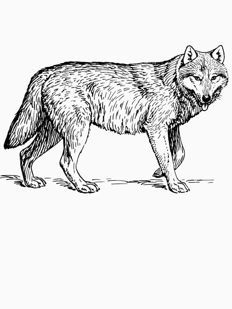 Walking wolf by Starlordstore