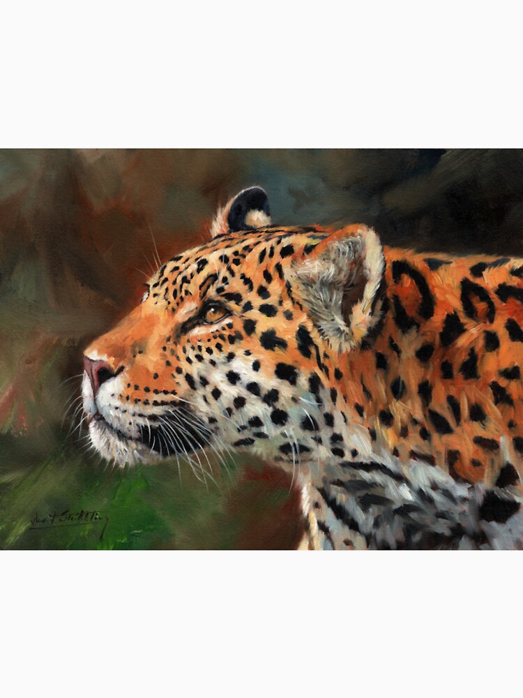 Jaguar. South American Big Cat by David Stribbling
