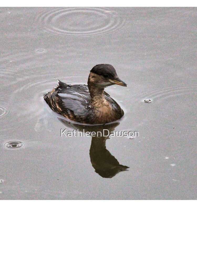 grebe by KathleenDawson
