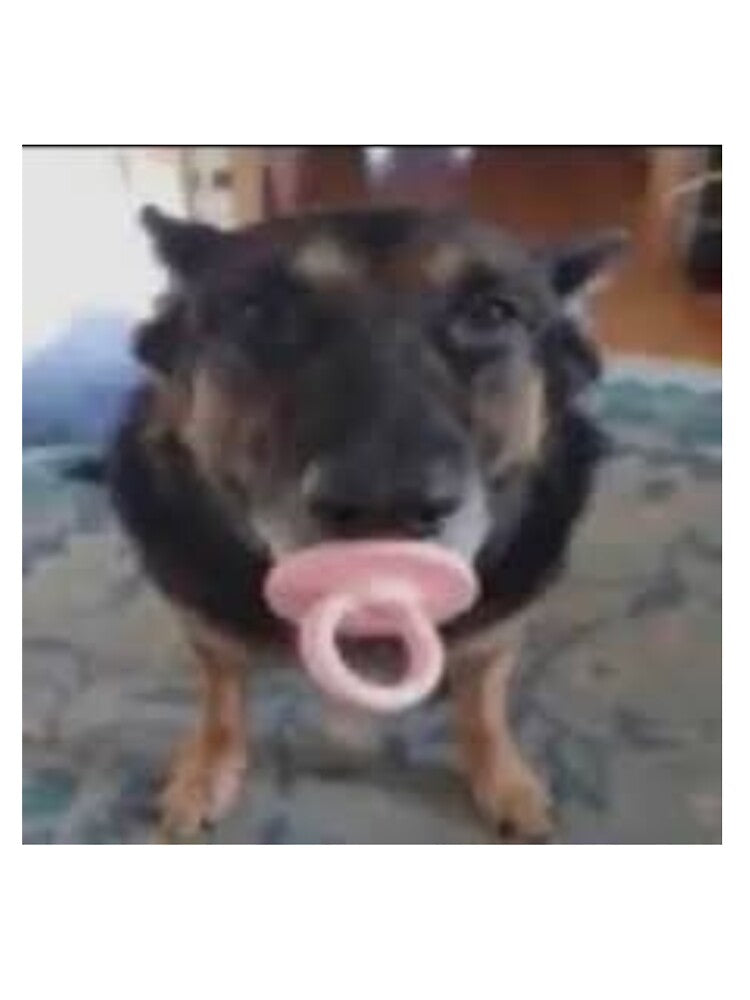 Dog with da binky by KlutzTheKing