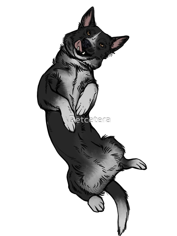 Border collie silly by Petcetera