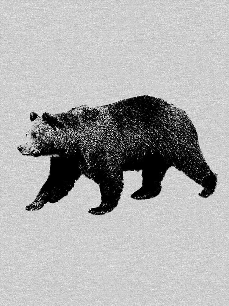 Bear Walking in the Woods. Digital Engraving by Digital Eclectica
