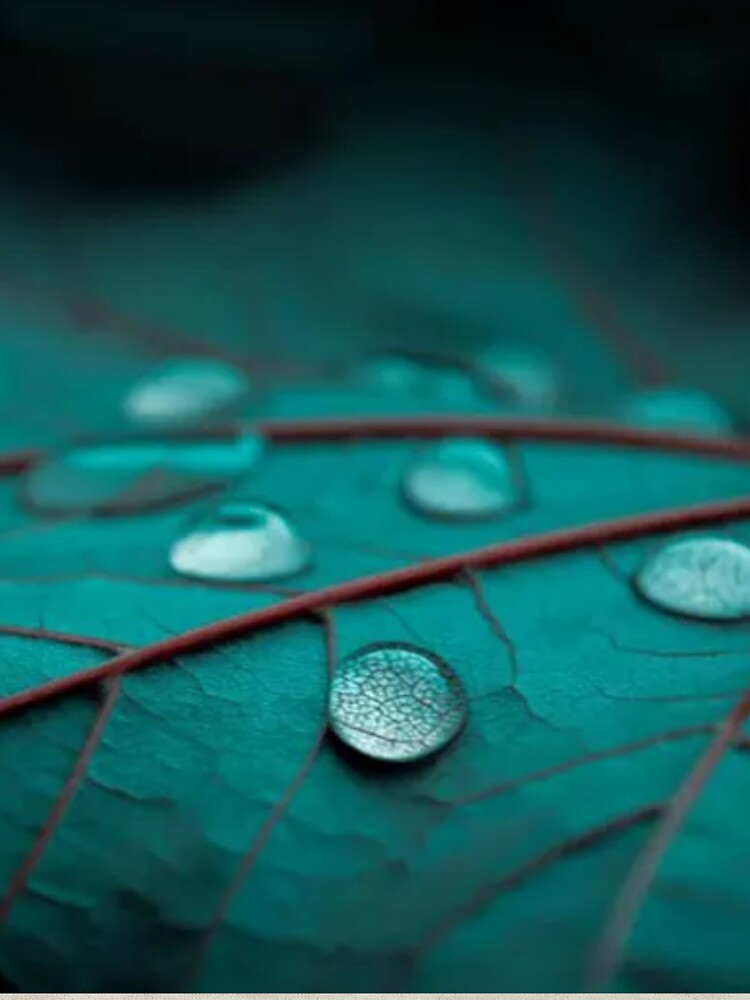 Water drops 3D Print by Sunny7869