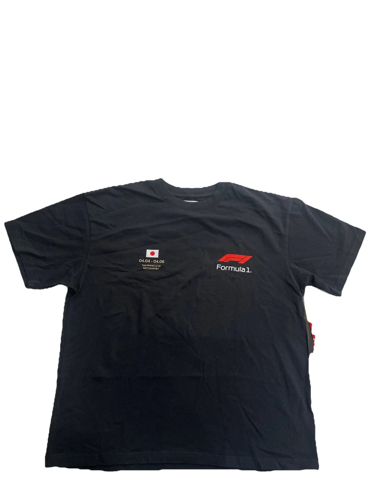 Pacsun Formula 1 Speed Oversized SS T-shirt Black Size L