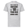 18th 18 Years Old Eighteenth Birthday Gift Presents Mens Funny Awesome T-Shirt
