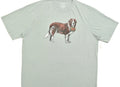 Lucky Brand Men's St. Bernard Dog Tee Short Sleeve Gray Crew Neck Size 3XLT NEW