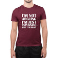 Funny I Am Not Arguing I Am Just Explaining Why I Am Right Sarcastic T-Shirt