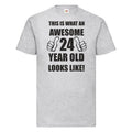 24th 24 Years Old Twenty Fourth Birthday  Presents Mens Funny Awesome T-Shirt