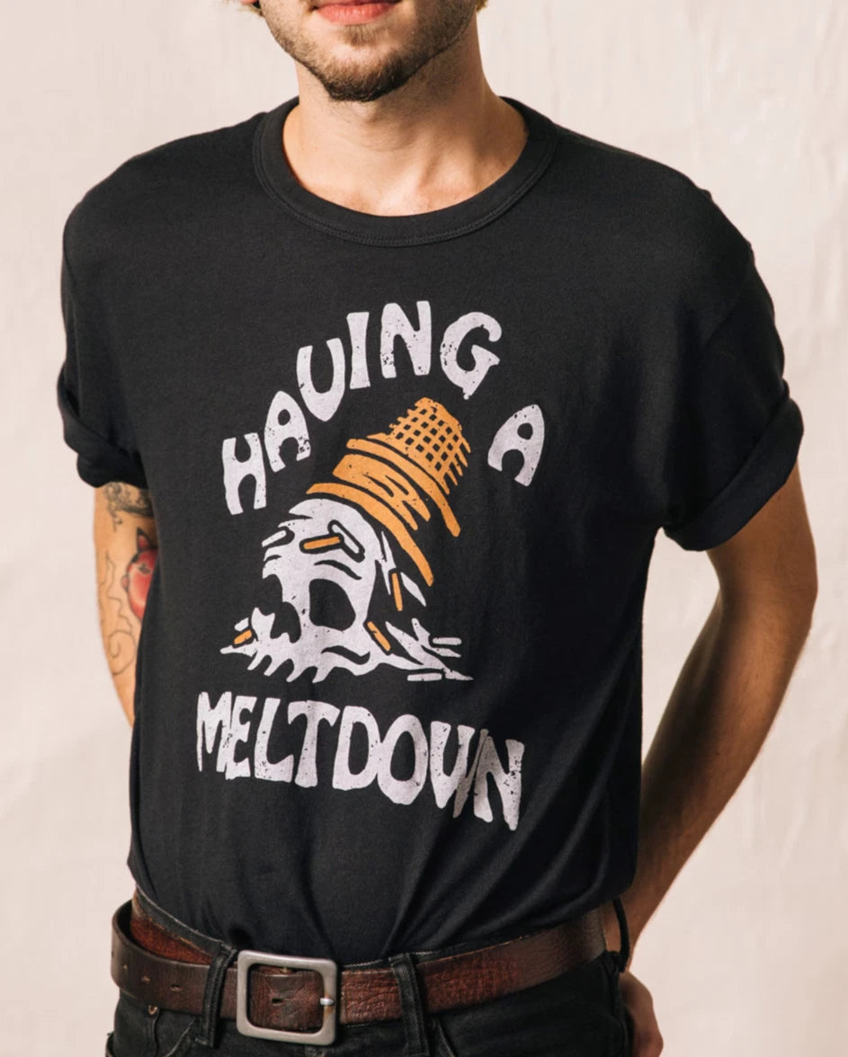 Having A Meltdown Shirt Funny Skull Ice Cream Cone Graphic Tee Sarcastic MenGift