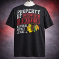 VTG Y2K Chicago Blackhawks NHL Distressed Graphic Shirt XL