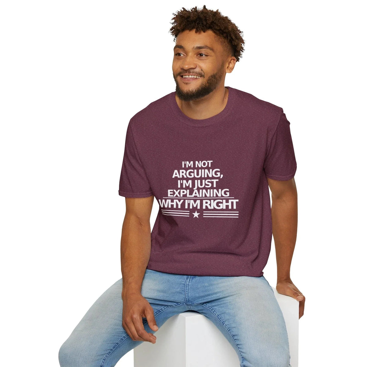 Funny Explanation Tee, Sarcastic Graphic Shirt, Unisex Softstyle T-Shirt,