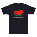 This is Not a Watermelon Funny Palestine Map Palestine Flag Retro Men's T-Shirt
