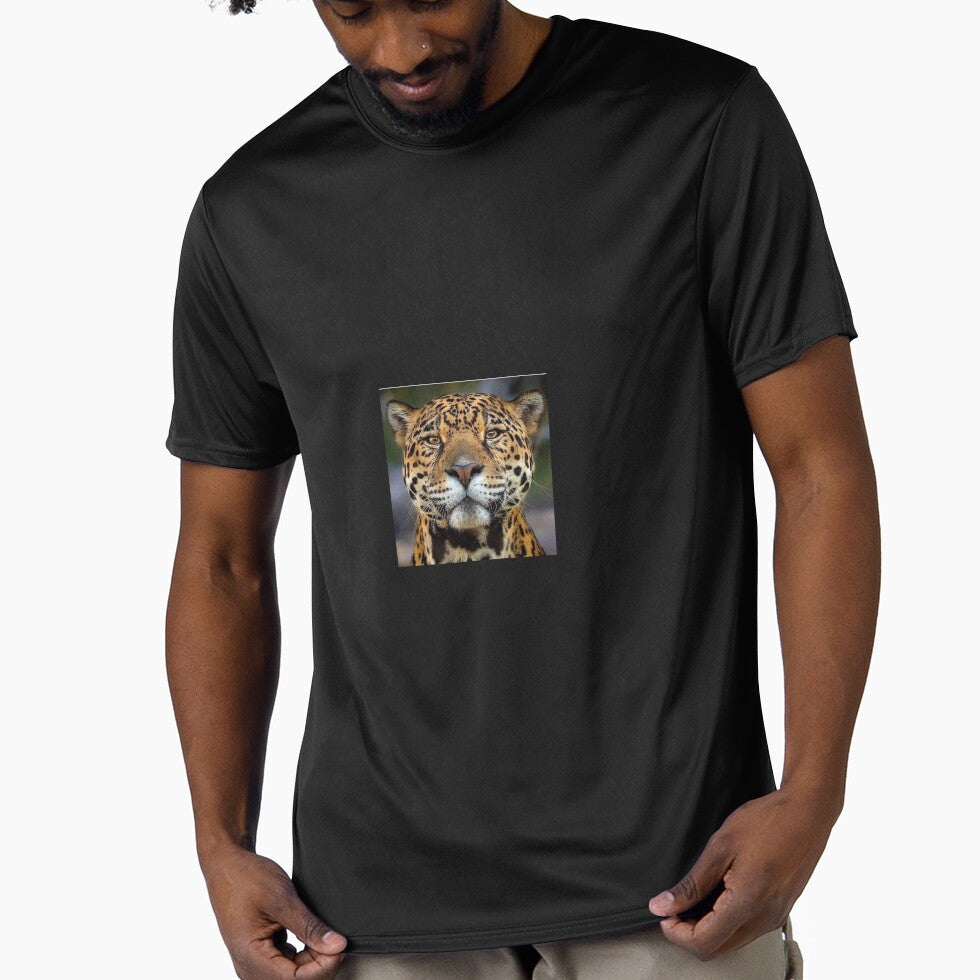 Cheetah  africa by lilylush
