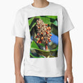 Magnolia Seed Pod Dispensing Seeds by heatherfriedman