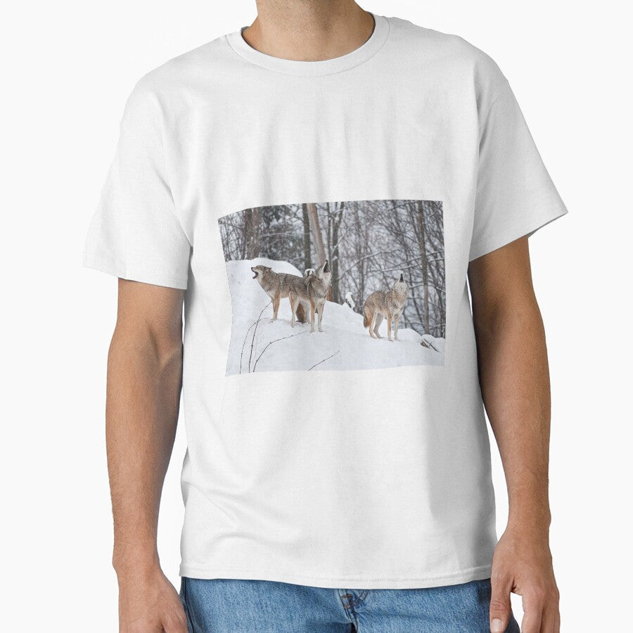 Howling Coyotes by Michael Cummings