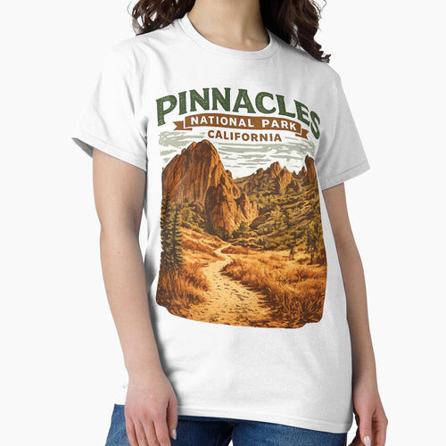 A Vintage Travel Art of Pinnacles - USA by francous03