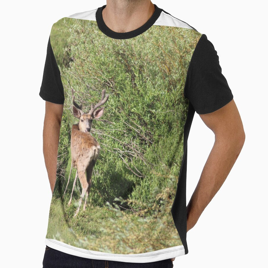 Deer by Backyardtrail