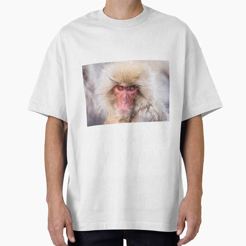 Wildlife Portrait - Snow Monkey (Japan) by Kellie Netherwood
