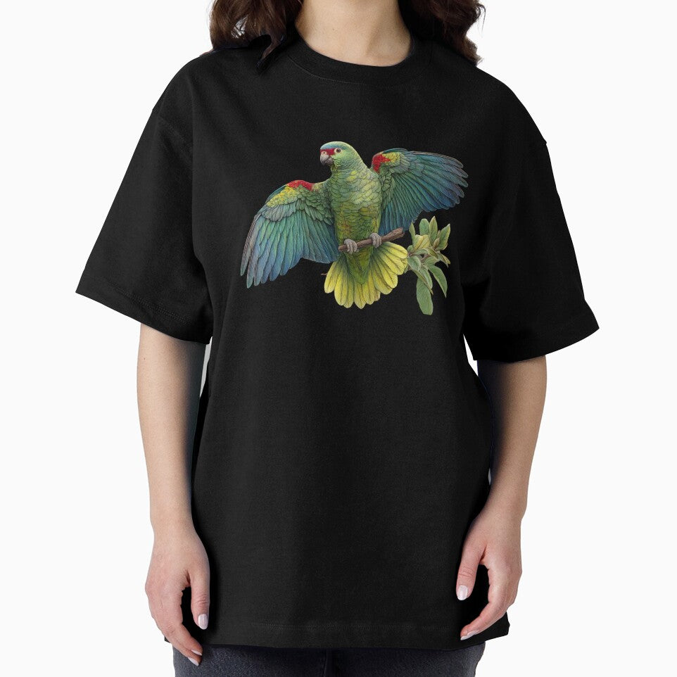 Red-browed Amazon Parrot by RSCF by RSCF