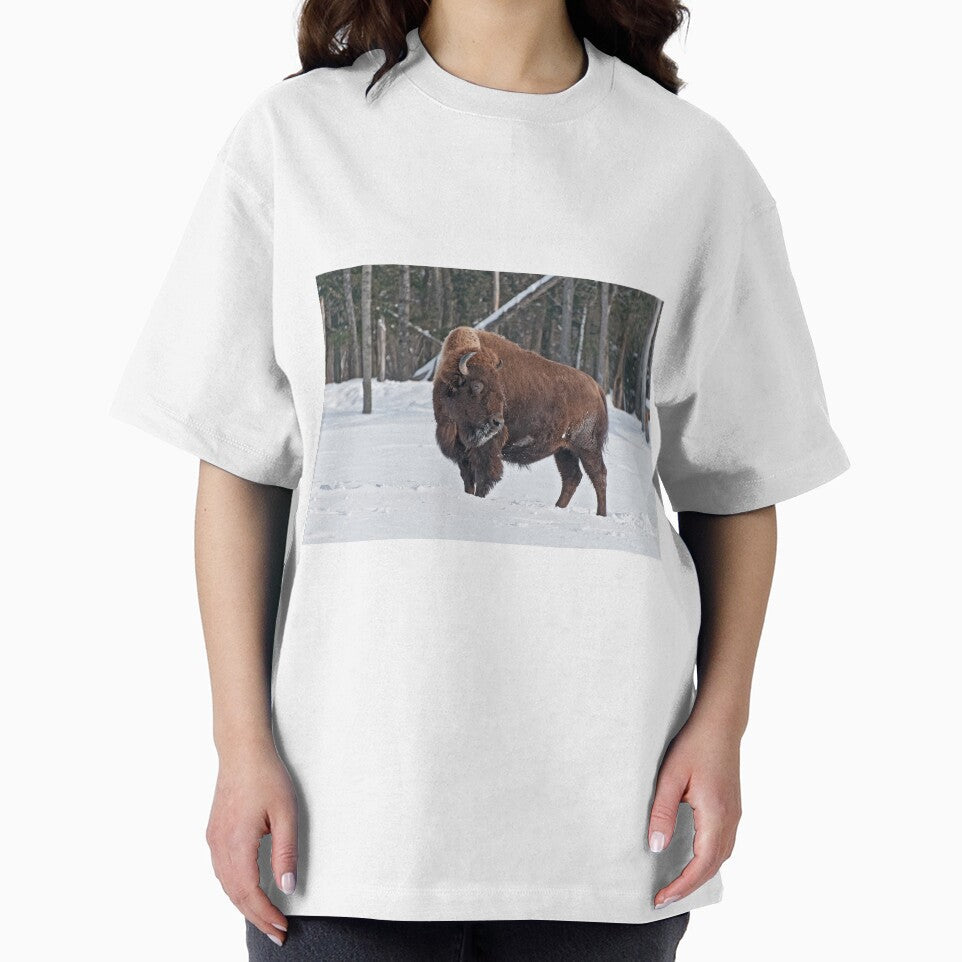 Bison In Snow by Michael Cummings