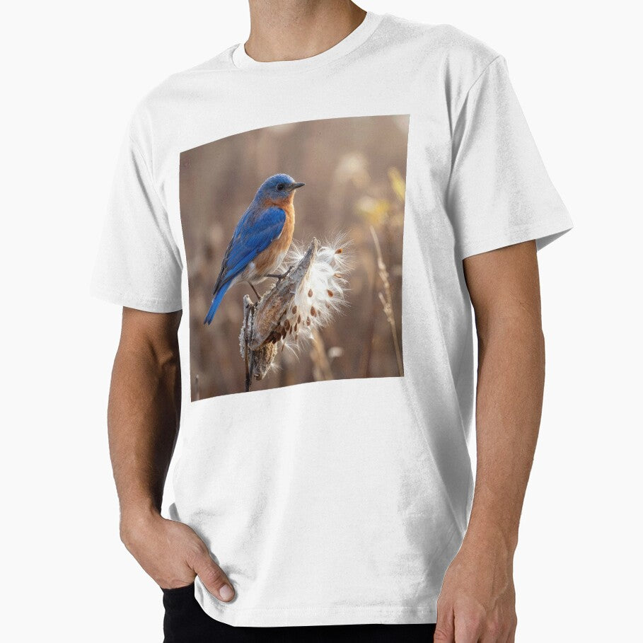 Blubird Perched On a Milkweed Pod by Maria Dryfhout