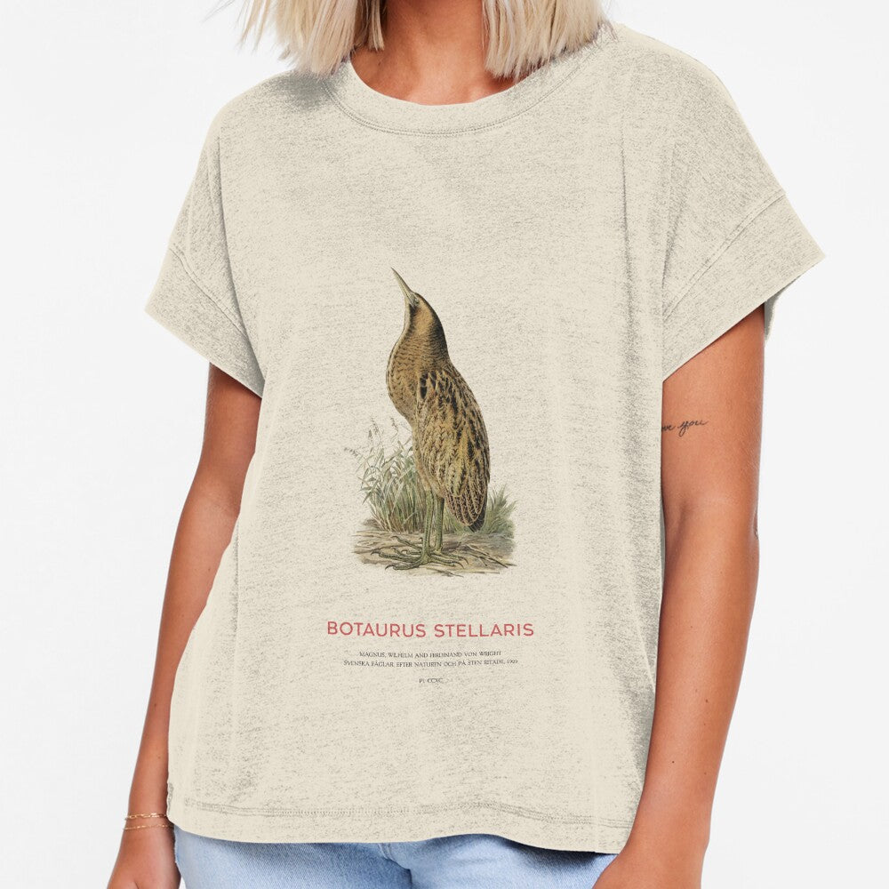 Great bittern or Botaurus Stellaris by Vintagrafica